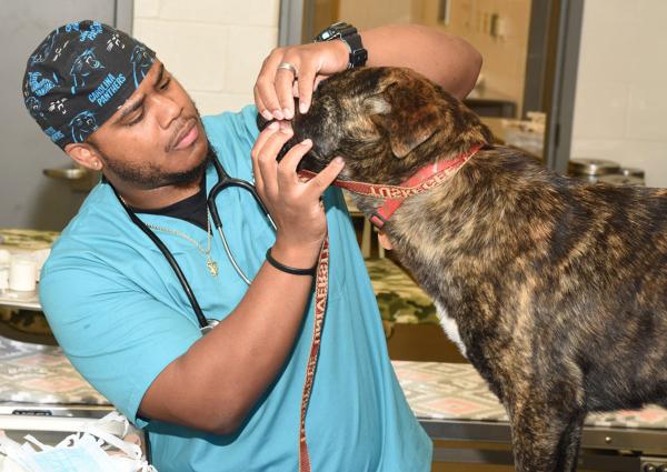 Tuskegee University College of Veterinary Medicine 